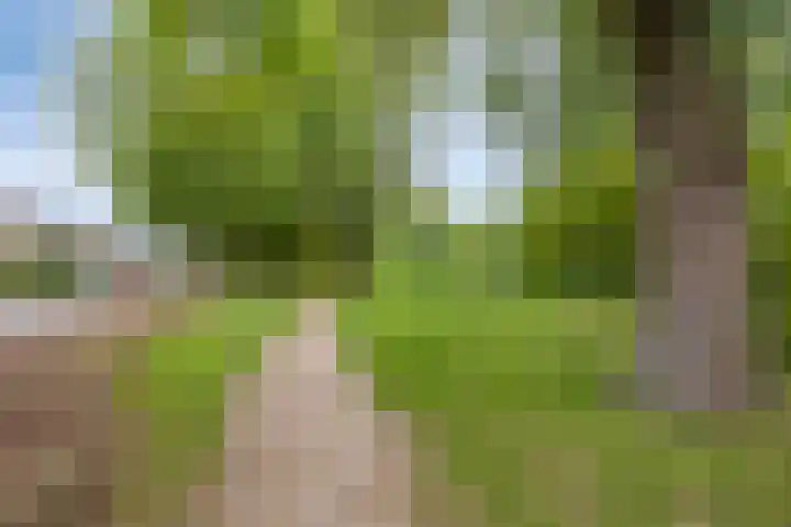 Kruitmolenlaan 9 Middelburg thumbnail 38