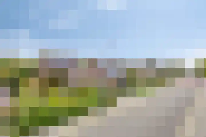 Kruitmolenlaan 9 Middelburg thumbnail 39
