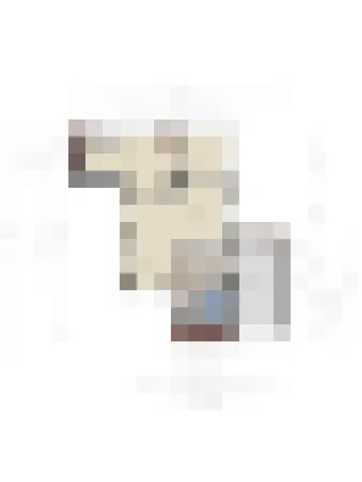 Kruitmolenlaan 9 Middelburg thumbnail 41