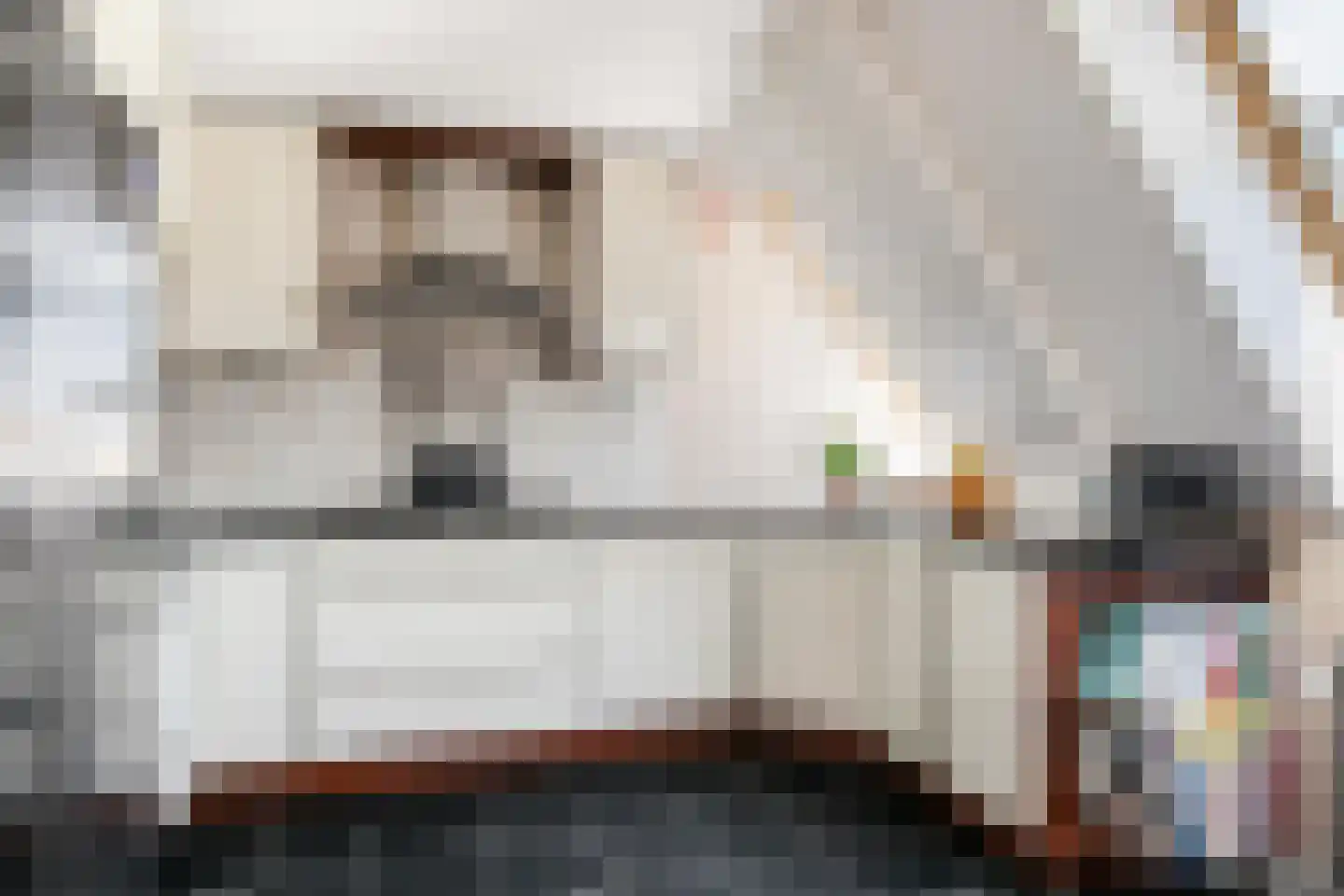 Kruitschip 26 Leiden thumbnail 17