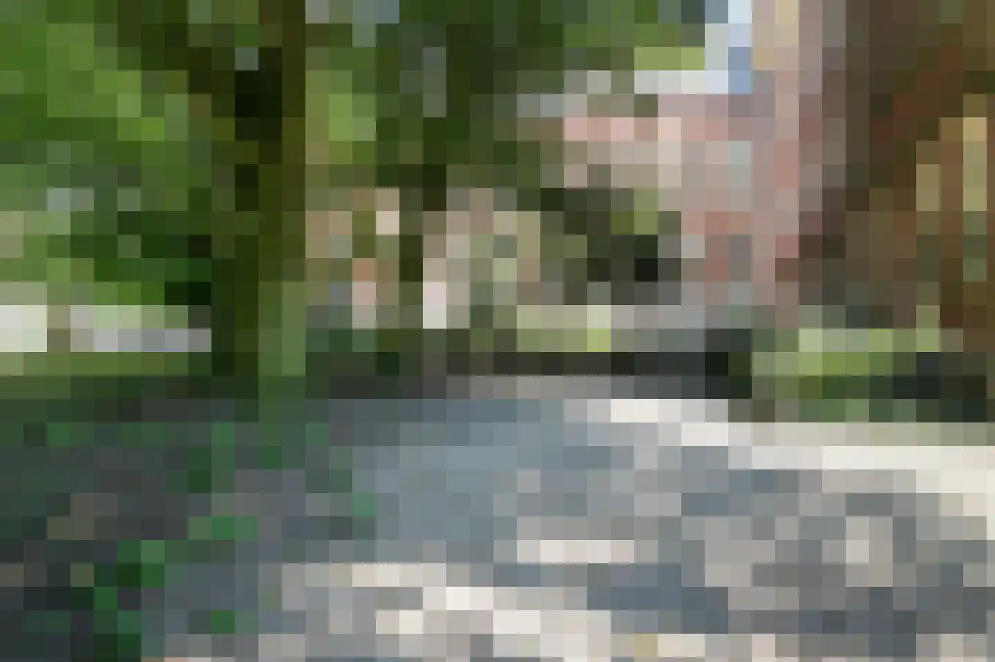 Kruitschip 26 Leiden thumbnail 45