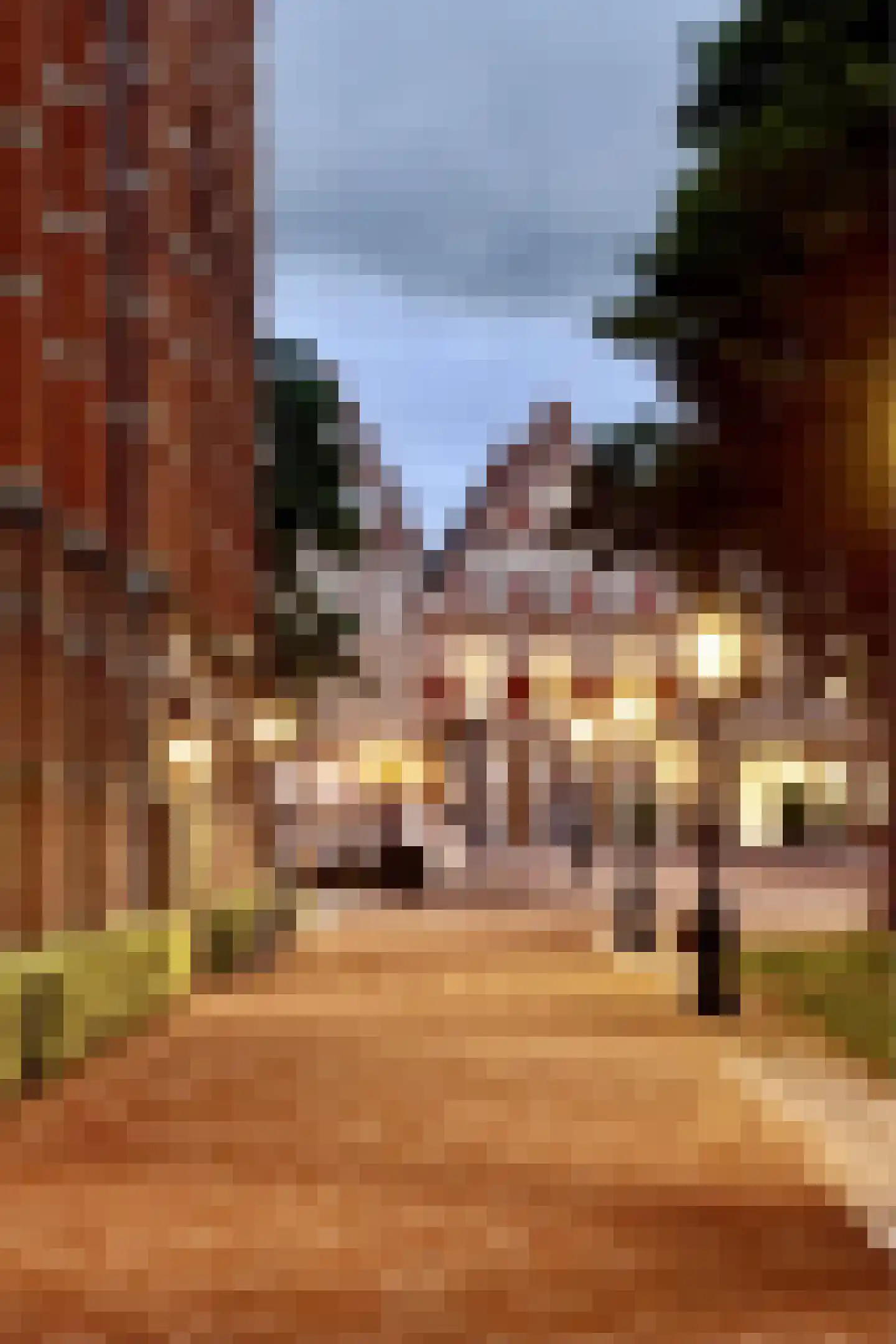Kruitschip 26 Leiden thumbnail 51