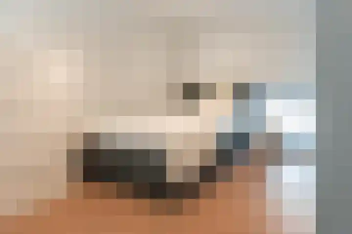 Kruitschip 37 Leiden thumbnail 19