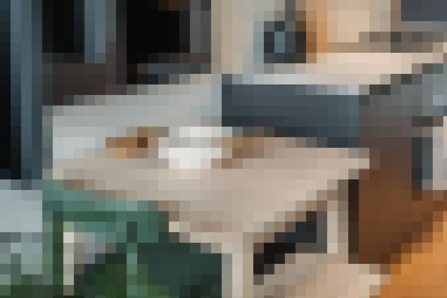 Kruitschip 44 Leiden thumbnail 12