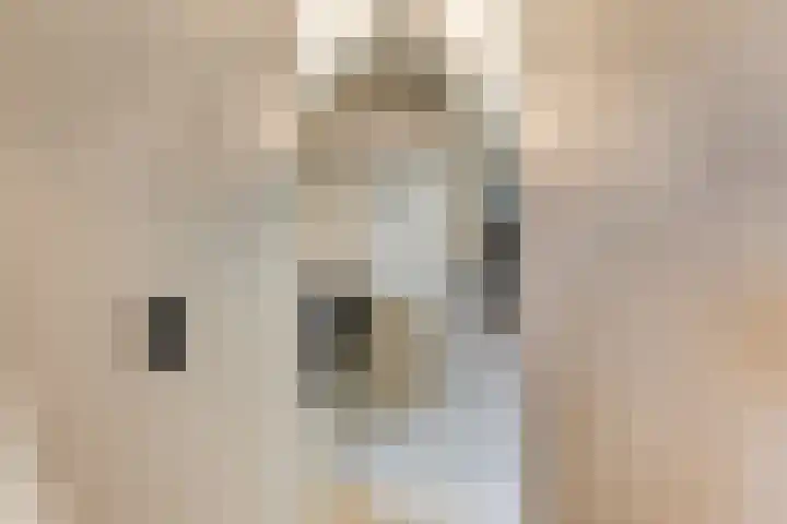 Kruittoren 3 Tholen thumbnail 16