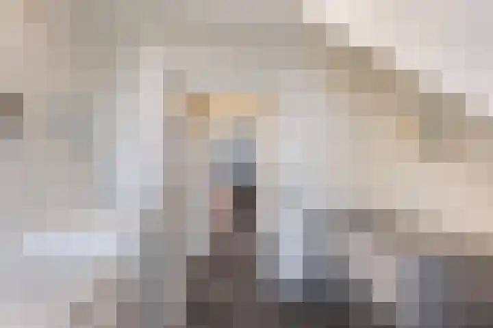Kruittoren 3 Tholen thumbnail 23