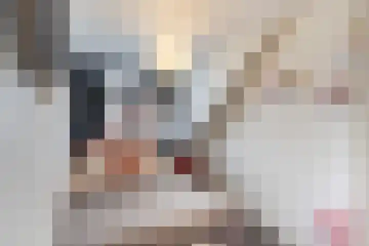 Kruittoren 3 Tholen thumbnail 24