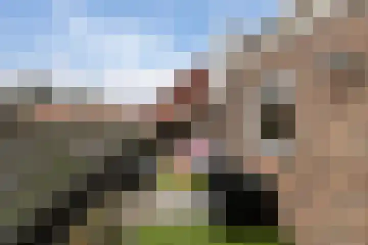 Kruittoren 3 Tholen thumbnail 28