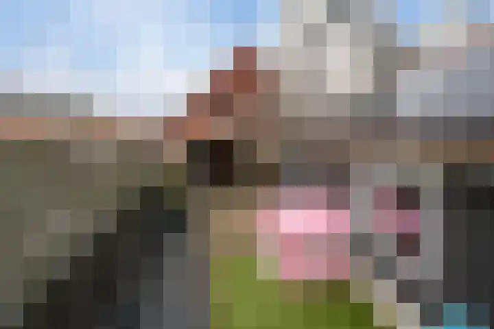 Kruittoren 3 Tholen thumbnail 29