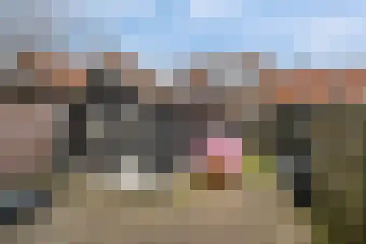 Kruittoren 3 Tholen thumbnail 30