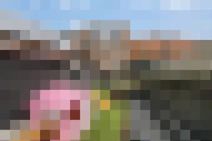 Kruittoren 3 Tholen thumbnail 31