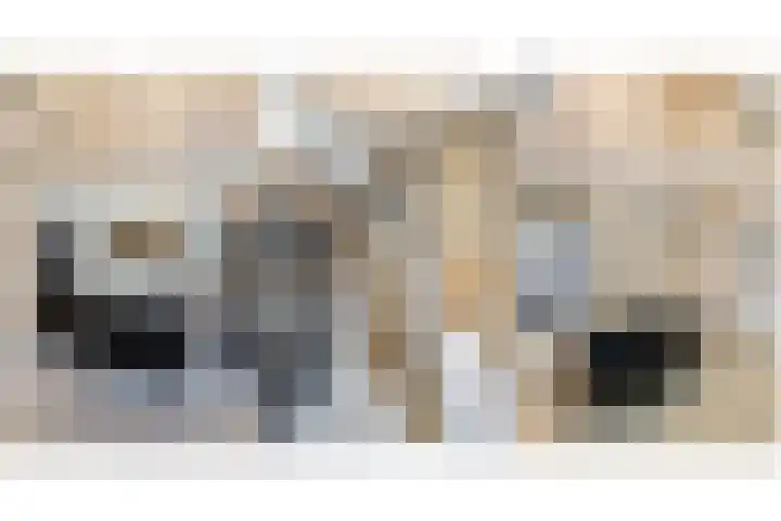 Kruittoren 3 Tholen thumbnail 4