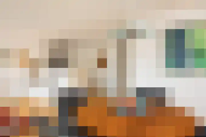 Kruittorenhoek 30 Zutphen thumbnail 14