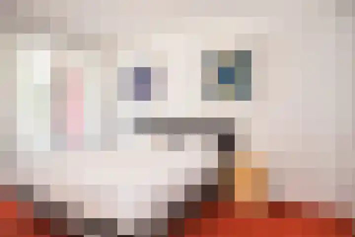 Kruittorenhoek 30 Zutphen thumbnail 16