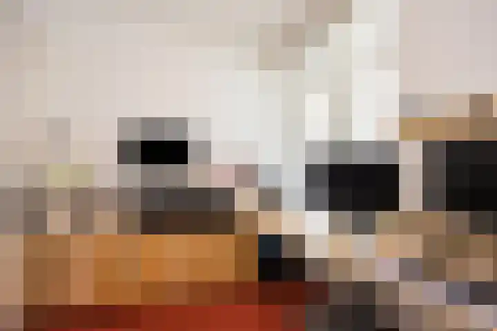 Kruittorenhoek 30 Zutphen thumbnail 17