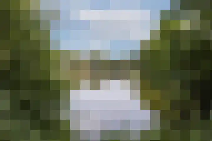 Kruittorenhoek 30 Zutphen thumbnail 20