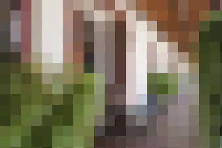 Kruittorenhoek 30 Zutphen thumbnail 6