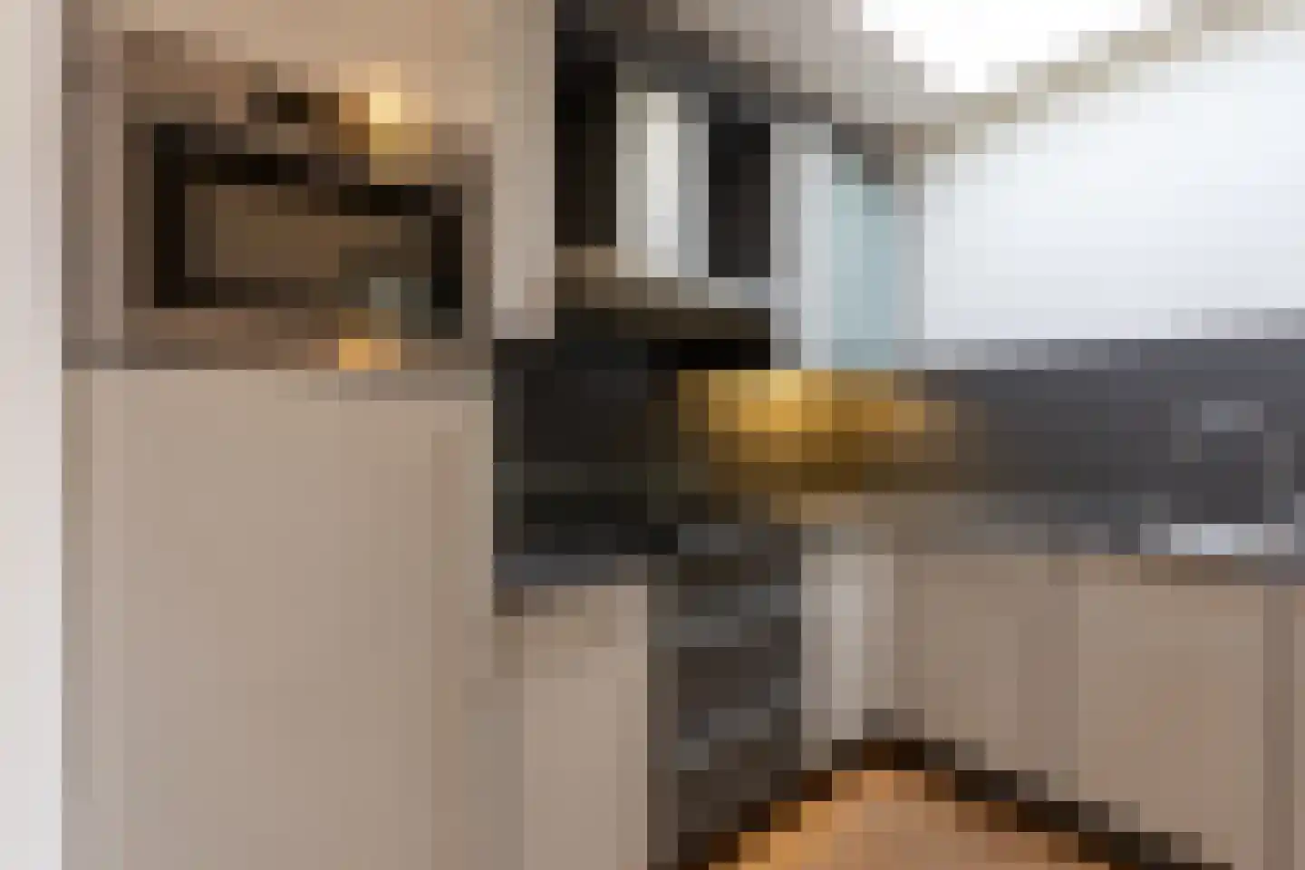 Kruittorenstraat 13 Tholen thumbnail 11