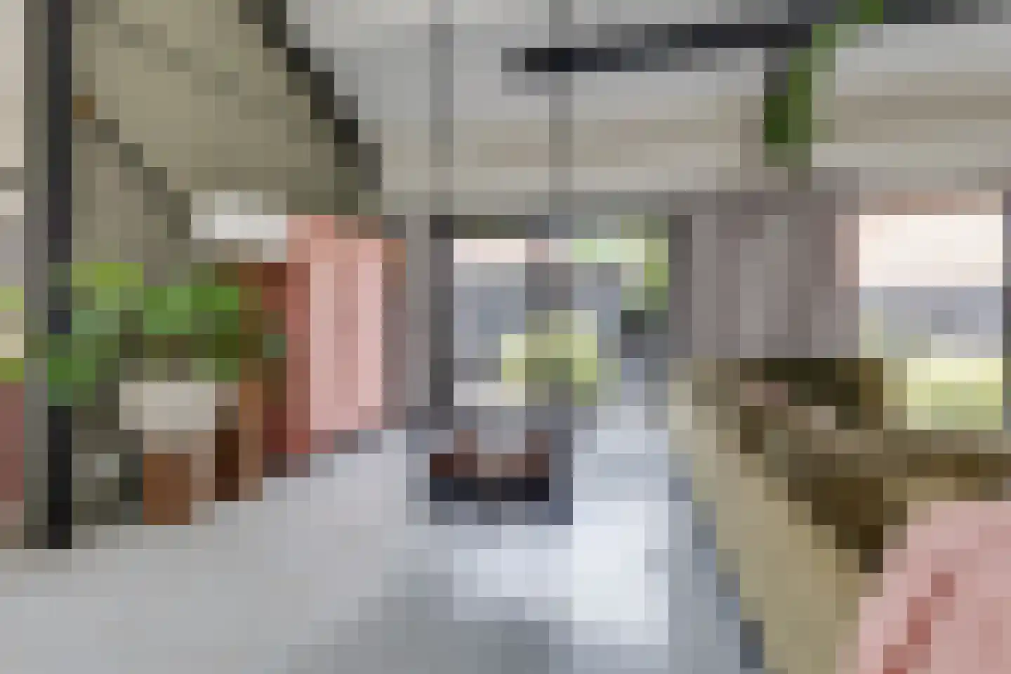 Kruittorenstraat 6 Bredevoort thumbnail 10