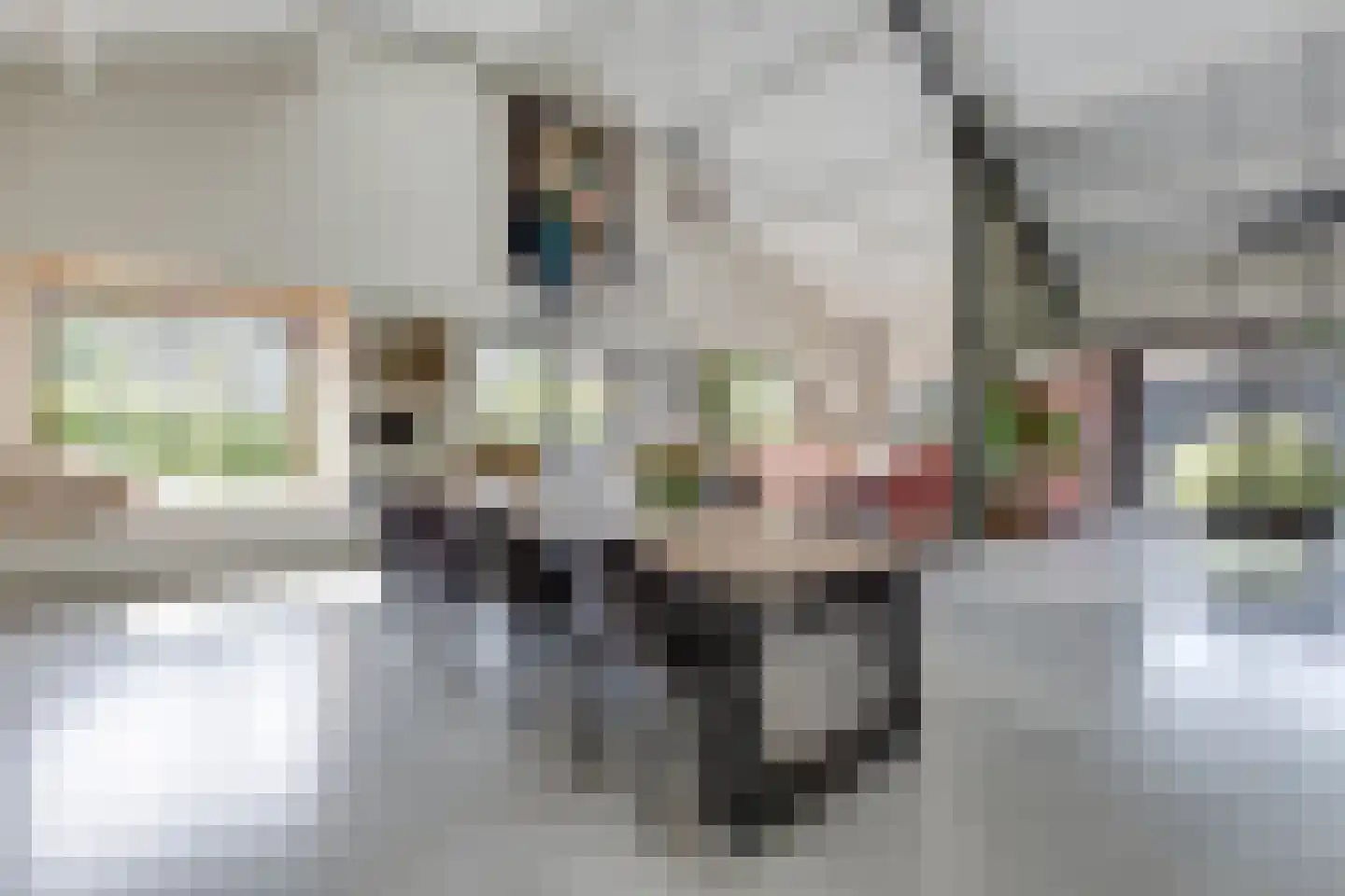 Kruittorenstraat 6 Bredevoort thumbnail 13