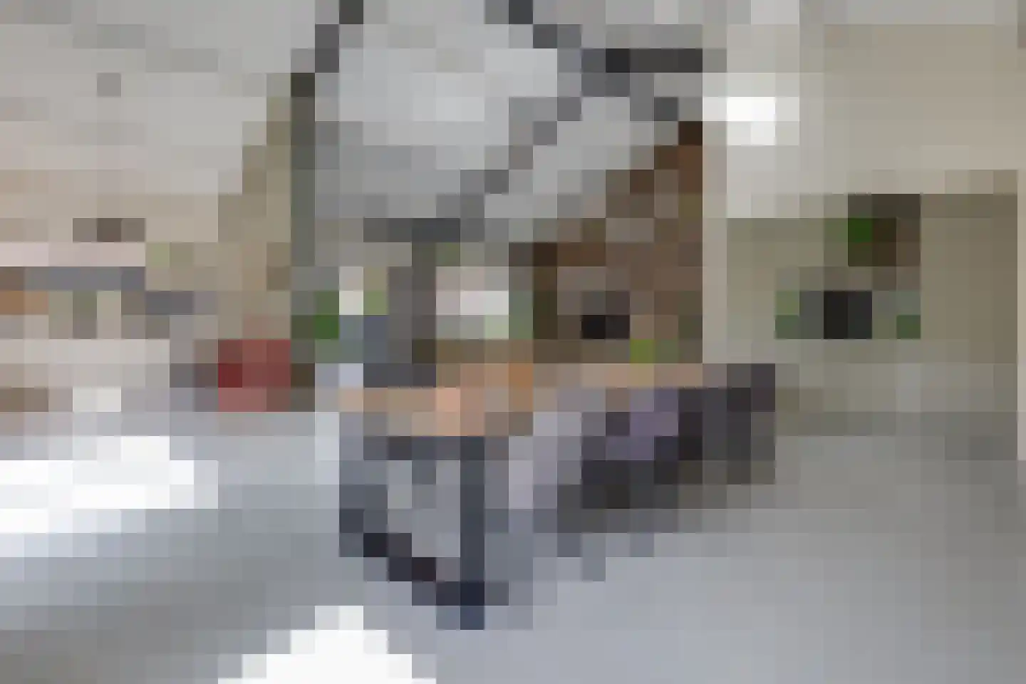 Kruittorenstraat 6 Bredevoort thumbnail 14