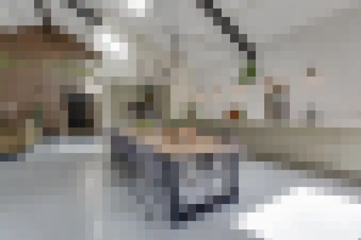 Kruittorenstraat 6 Bredevoort thumbnail 15