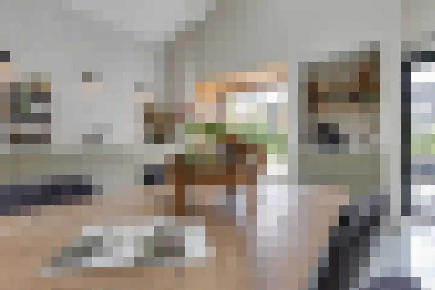 Kruittorenstraat 6 Bredevoort thumbnail 16