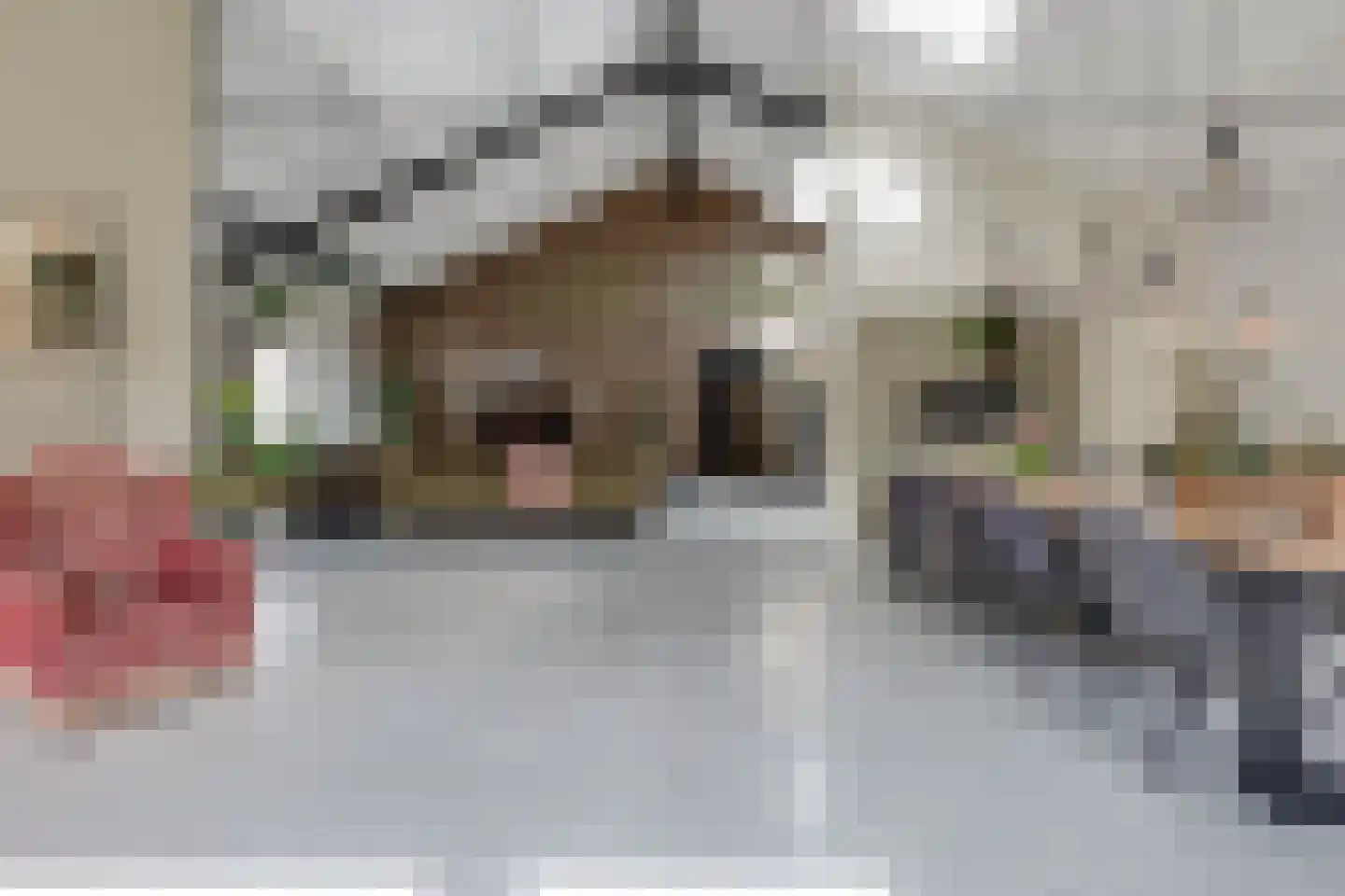 Kruittorenstraat 6 Bredevoort thumbnail 23