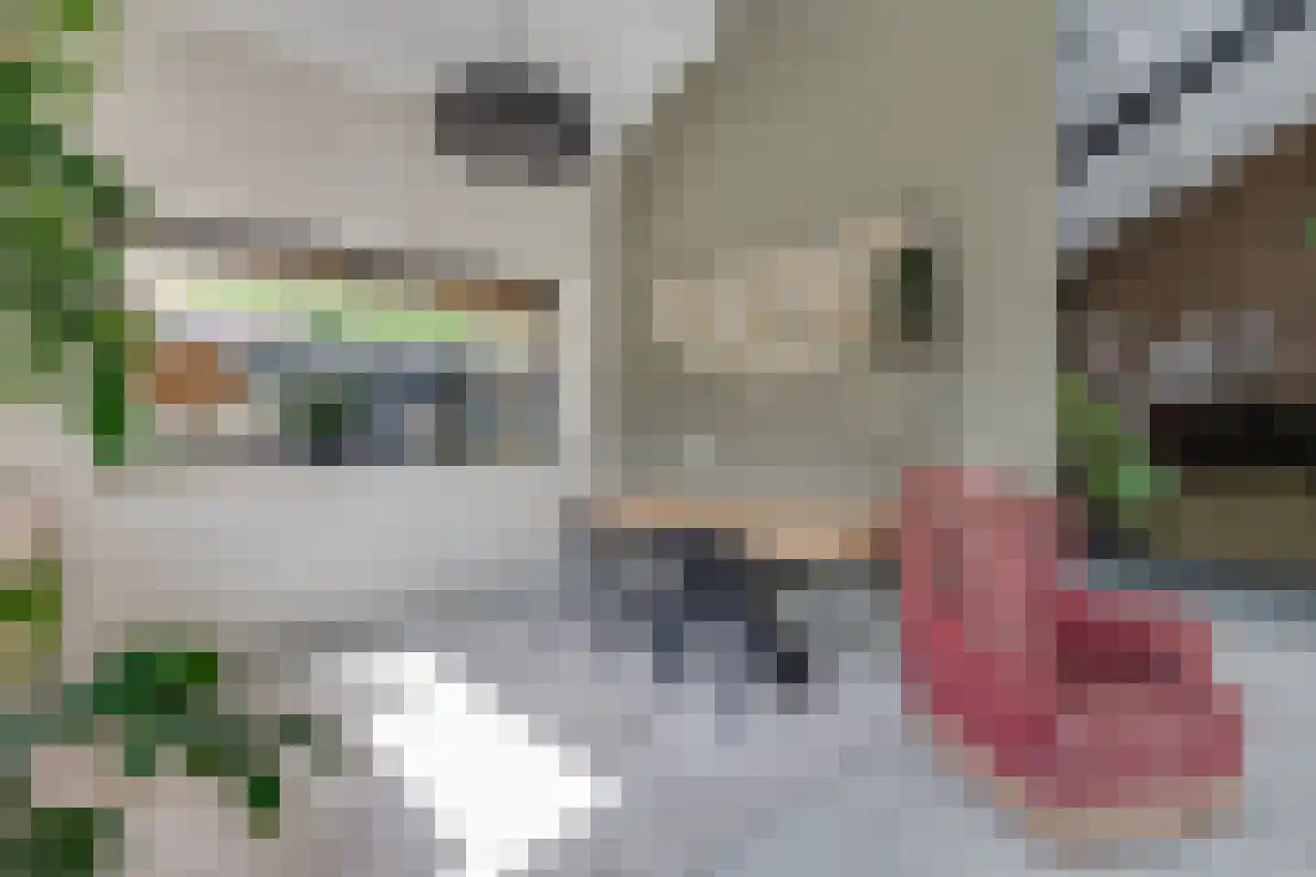 Kruittorenstraat 6 Bredevoort thumbnail 25