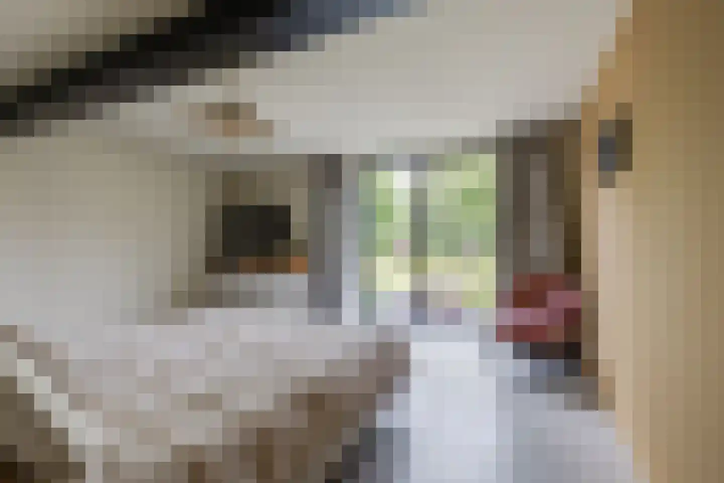 Kruittorenstraat 6 Bredevoort thumbnail 28