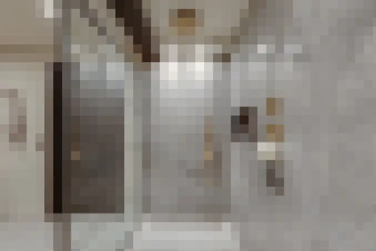 Kruittorenstraat 6 Bredevoort thumbnail 32