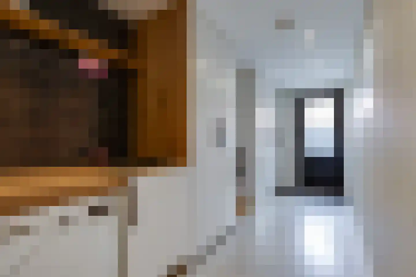 Kruittorenstraat 6 Bredevoort thumbnail 35