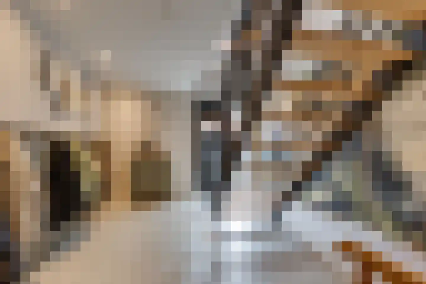 Kruittorenstraat 6 Bredevoort thumbnail 37