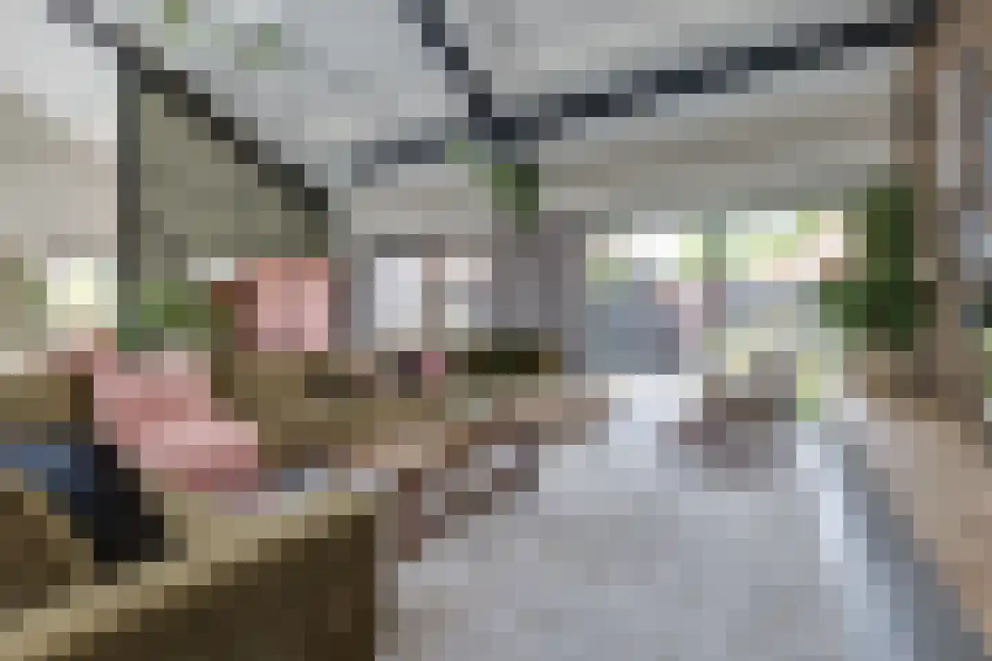 Kruittorenstraat 6 Bredevoort thumbnail 4