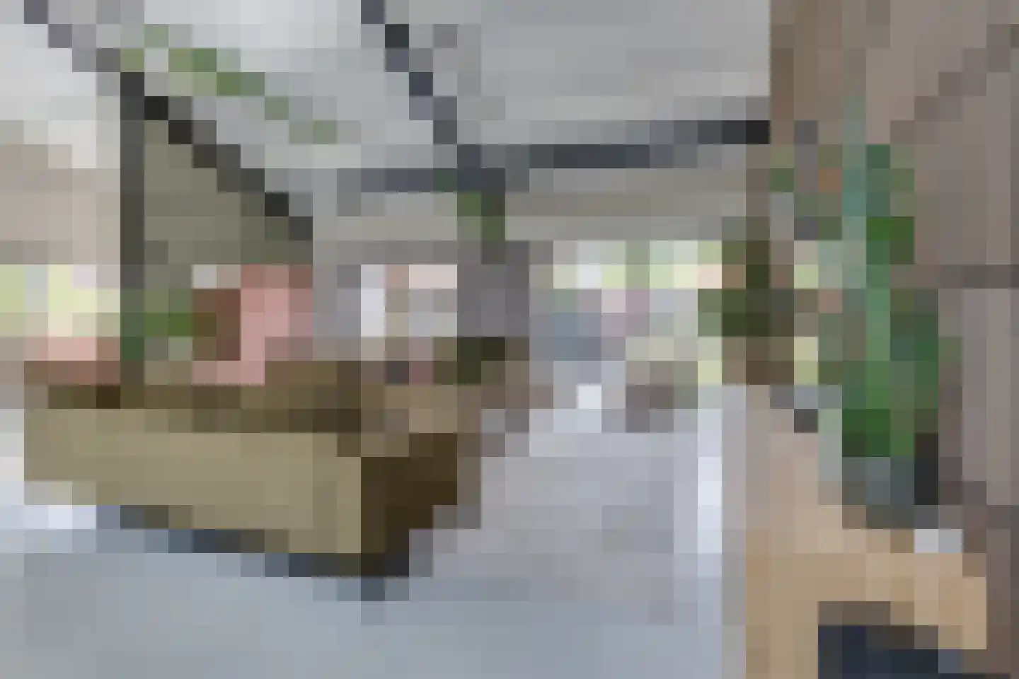 Kruittorenstraat 6 Bredevoort thumbnail 5