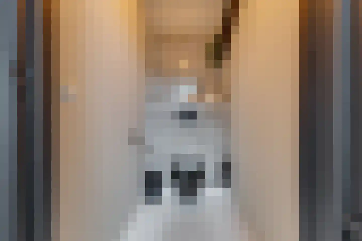 Kruittorenstraat 6 Bredevoort thumbnail 52