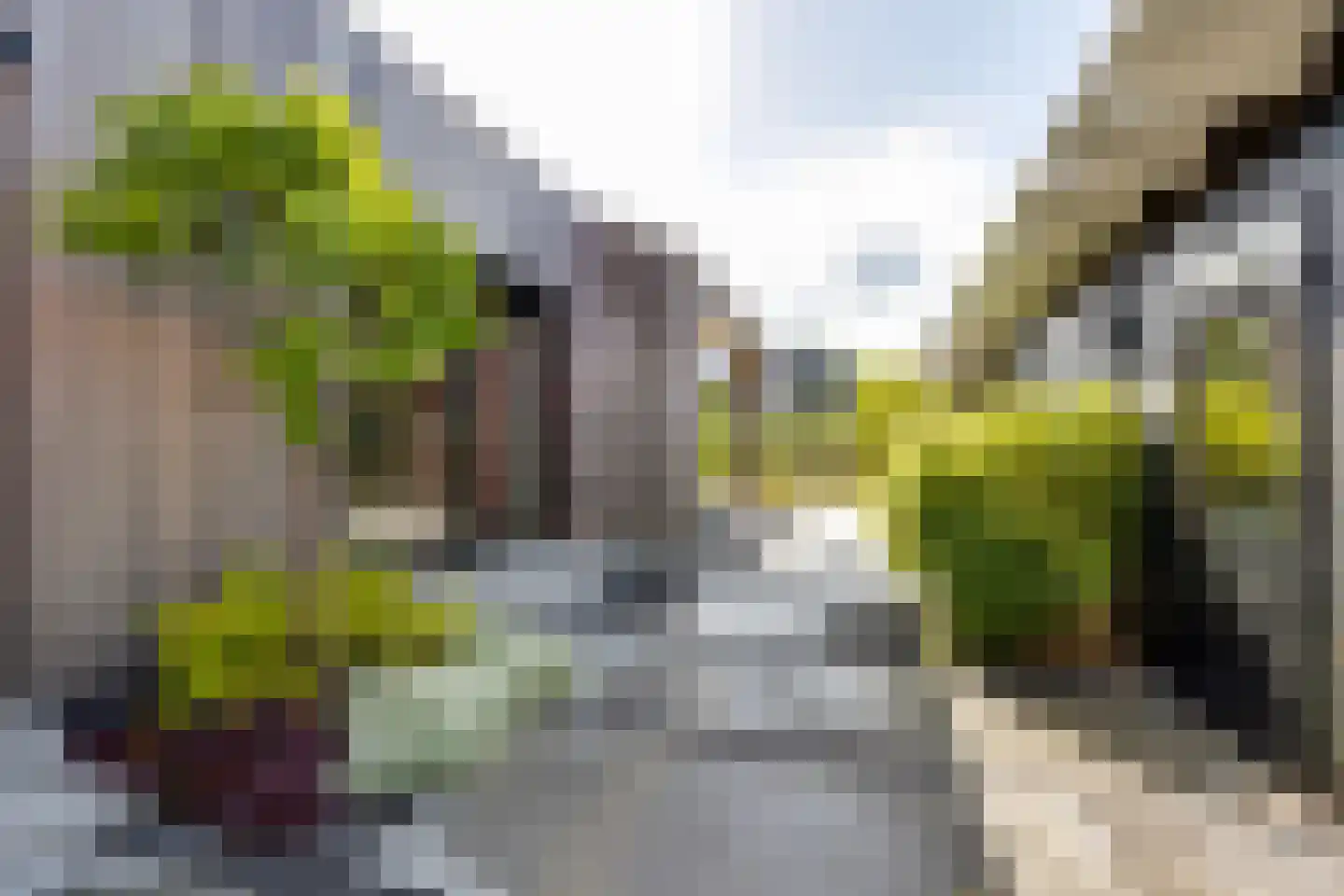 Kruittorenstraat 6 Bredevoort thumbnail 55