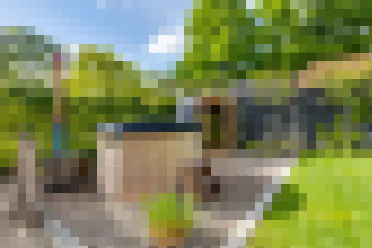 Kruittorenstraat 6 Bredevoort thumbnail 63