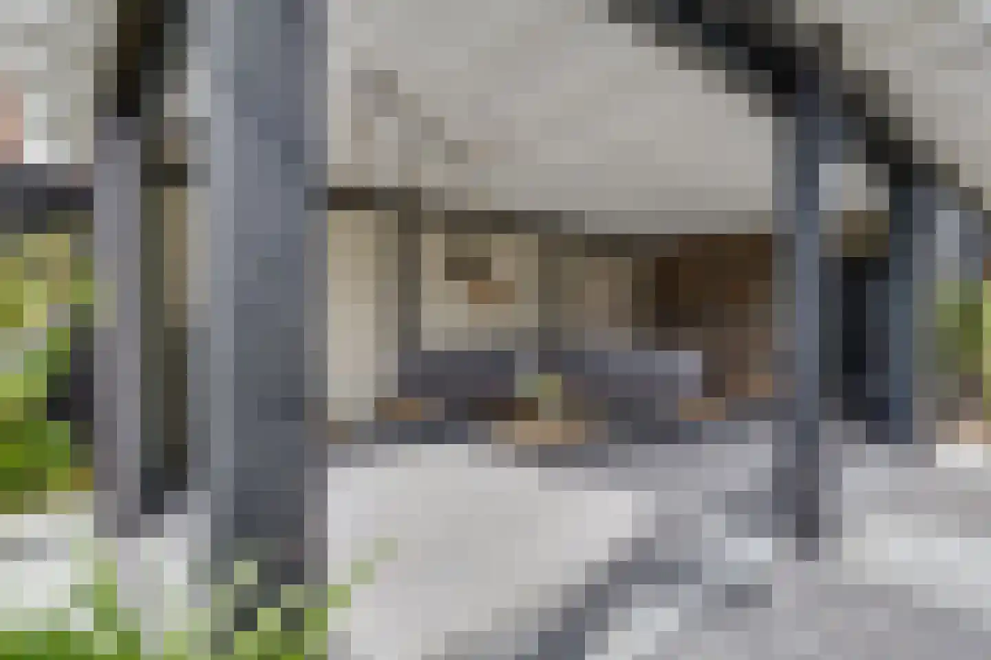 Kruittorenstraat 6 Bredevoort thumbnail 69