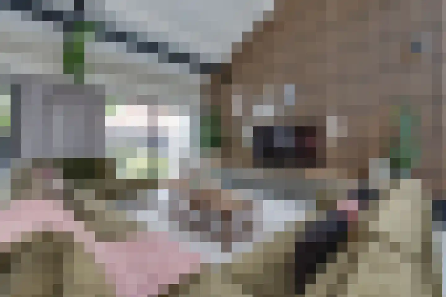 Kruittorenstraat 6 Bredevoort thumbnail 7