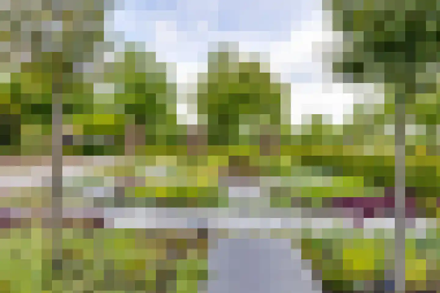 Kruittorenstraat 6 Bredevoort thumbnail 76
