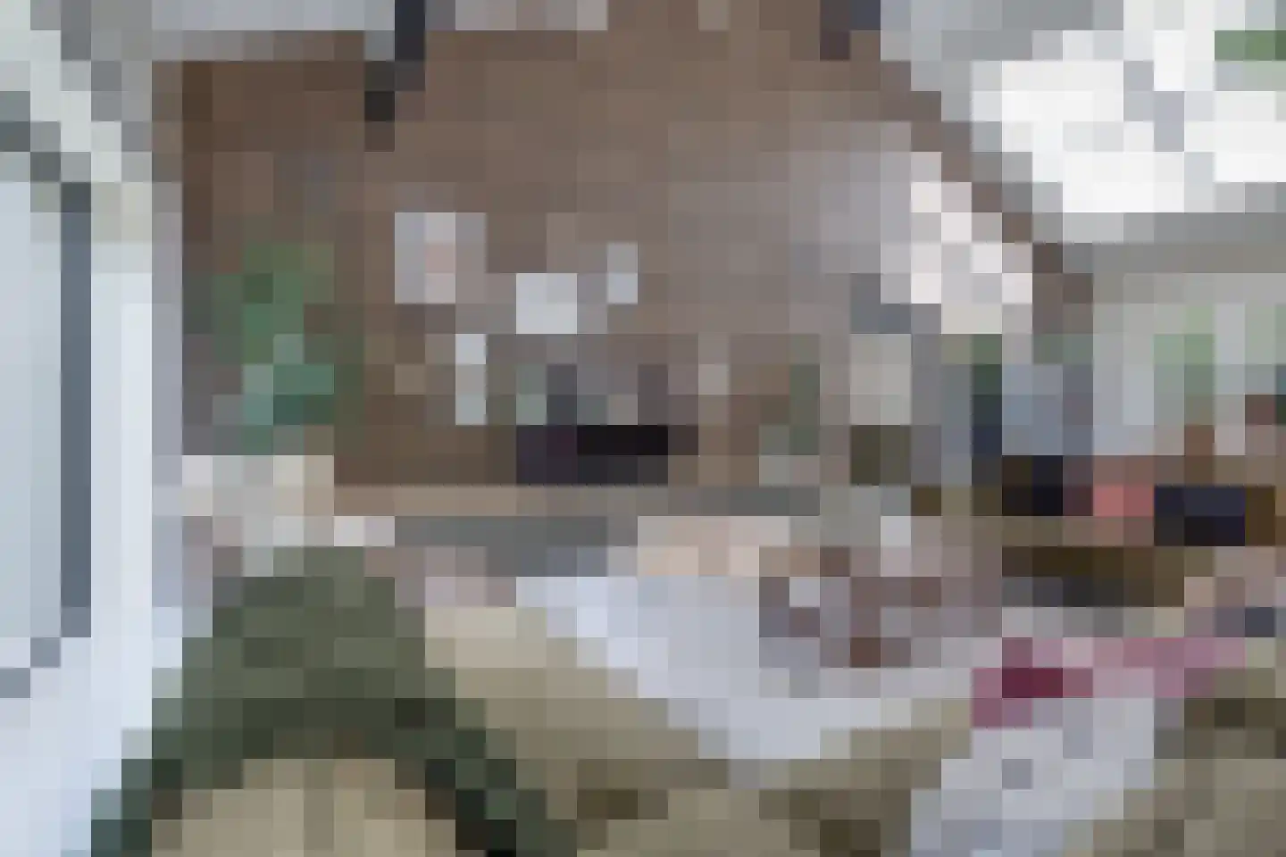 Kruittorenstraat 6 Bredevoort thumbnail 8