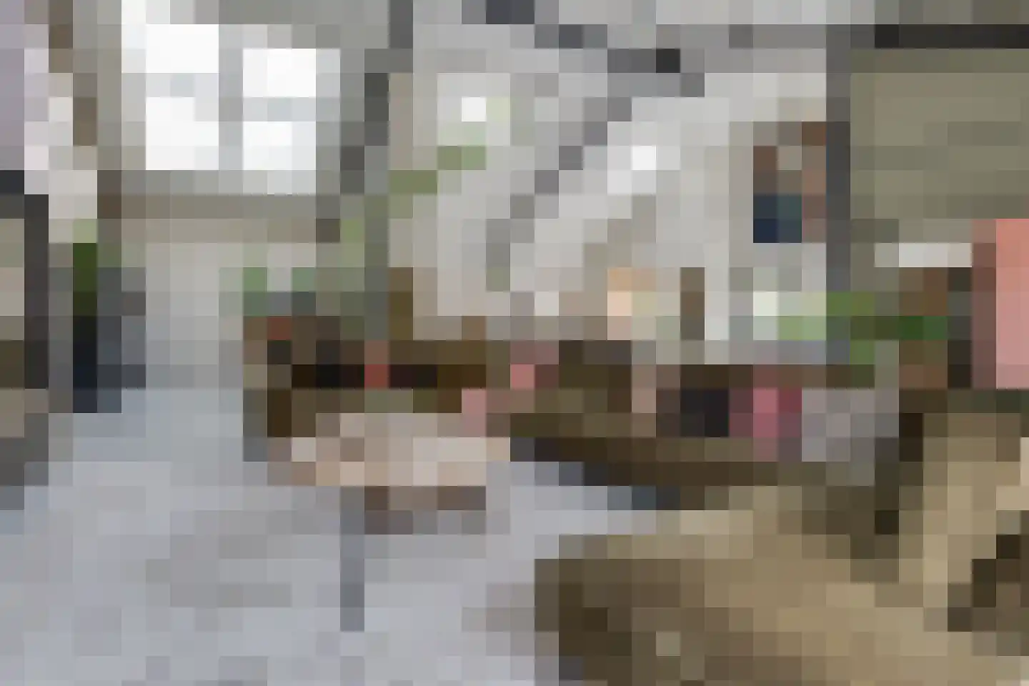 Kruittorenstraat 6 Bredevoort thumbnail 9