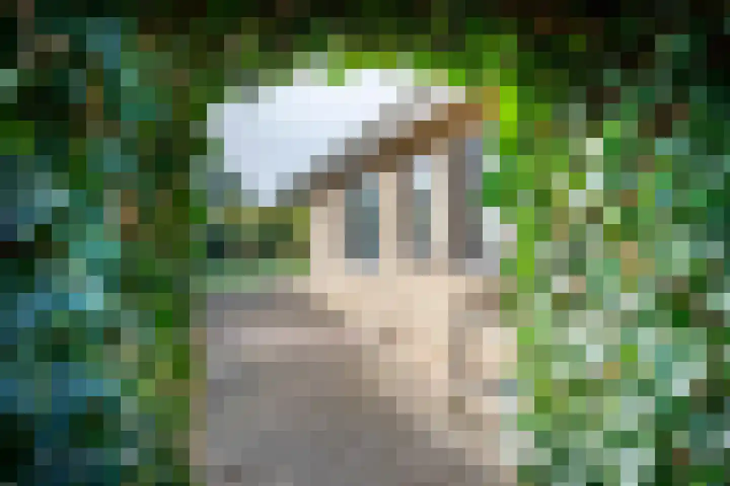 Kruiwerk 3 Klazienaveen thumbnail 33