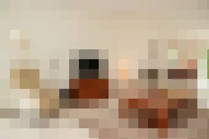 Kruiwiel 18 Geldermalsen thumbnail 10