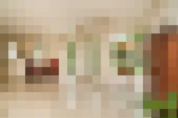Kruiwiel 18 Geldermalsen thumbnail 12