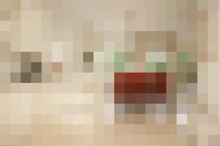 Kruiwiel 18 Geldermalsen thumbnail 16