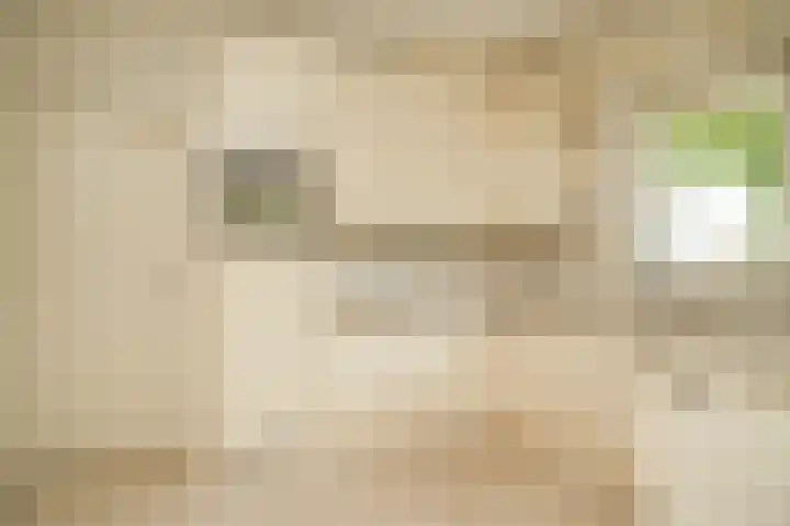 Kruiwiel 18 Geldermalsen thumbnail 17