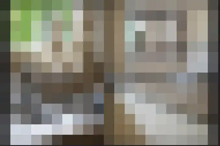 Kruiwiel 18 Geldermalsen thumbnail 18