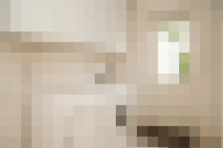 Kruiwiel 18 Geldermalsen thumbnail 19